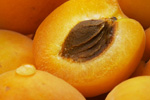 Лучшие диеты на абрикосах