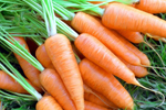 Лучшие косметические рецепты с морковью