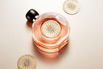 Аромат Terracotta Le Parfum от Guerlain